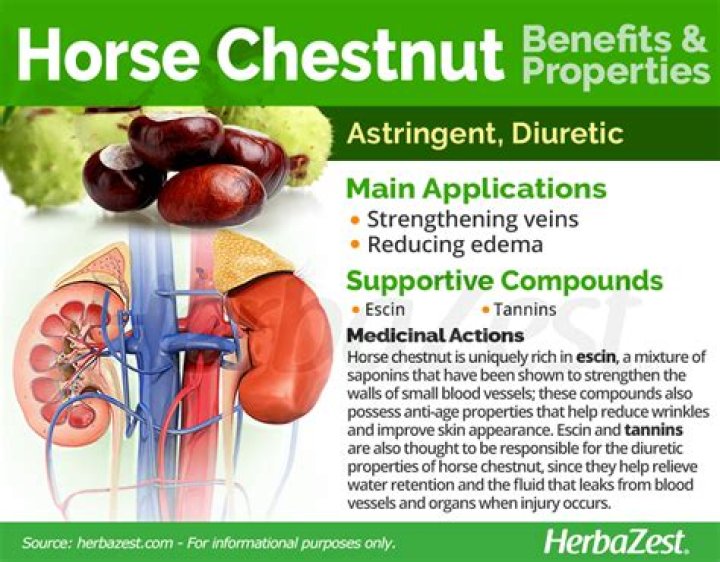 Are horse chestnut edible?