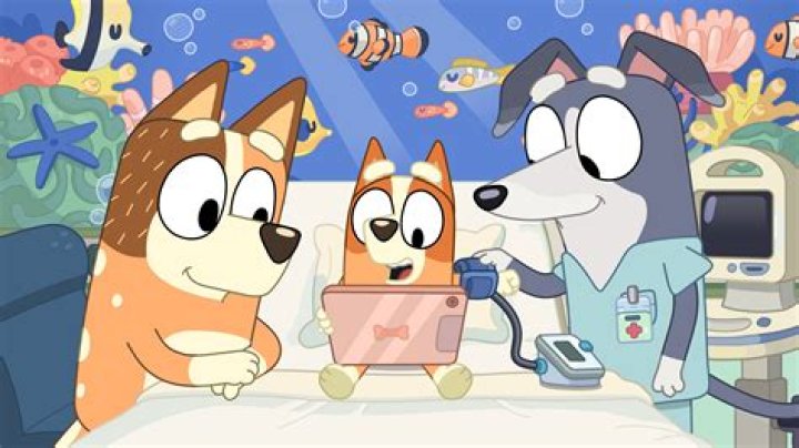 Did bingo and rolly voices change?