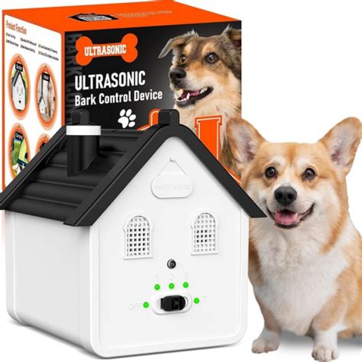 Do bark control devices work?