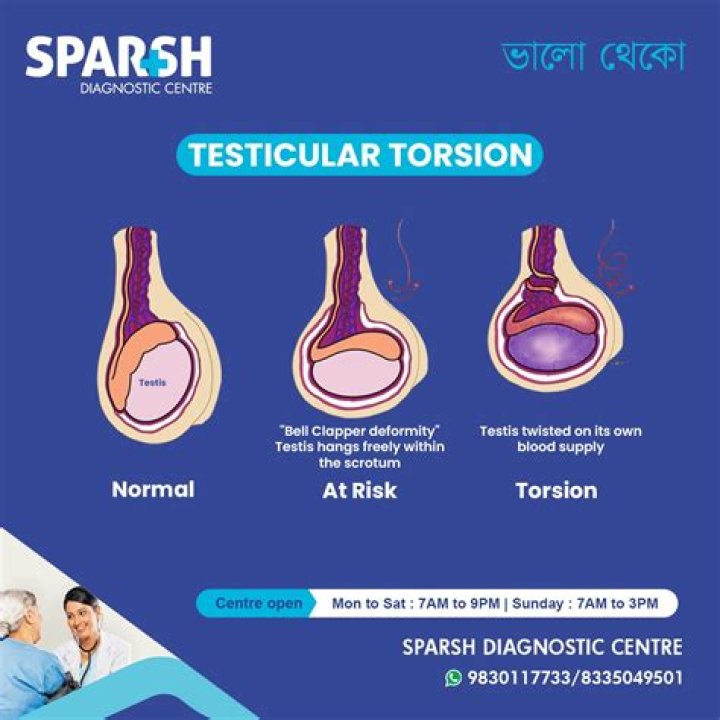 How to cure vesiculitis?