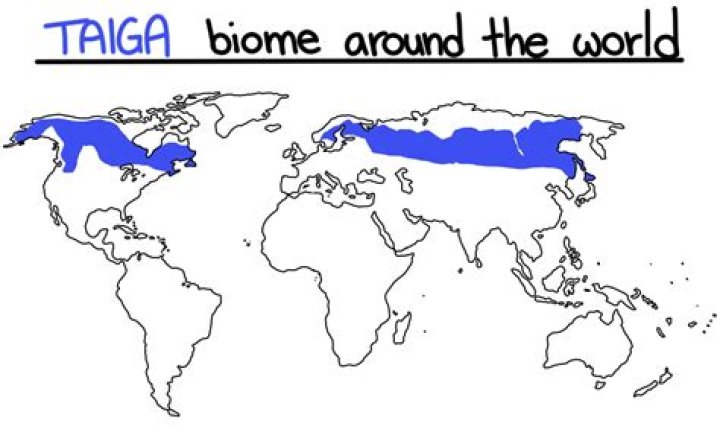 Were is the taiga biome?