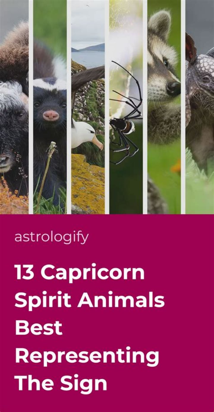 What's capricorn spirit animal?