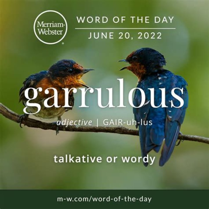 What is a garrulous person?