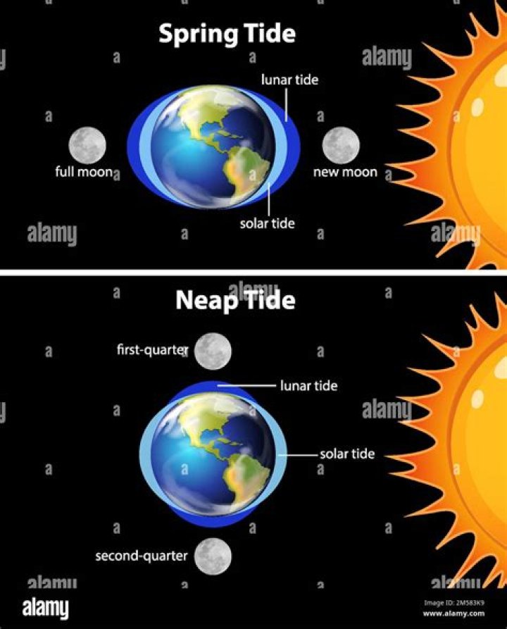 What is the definition of tides?