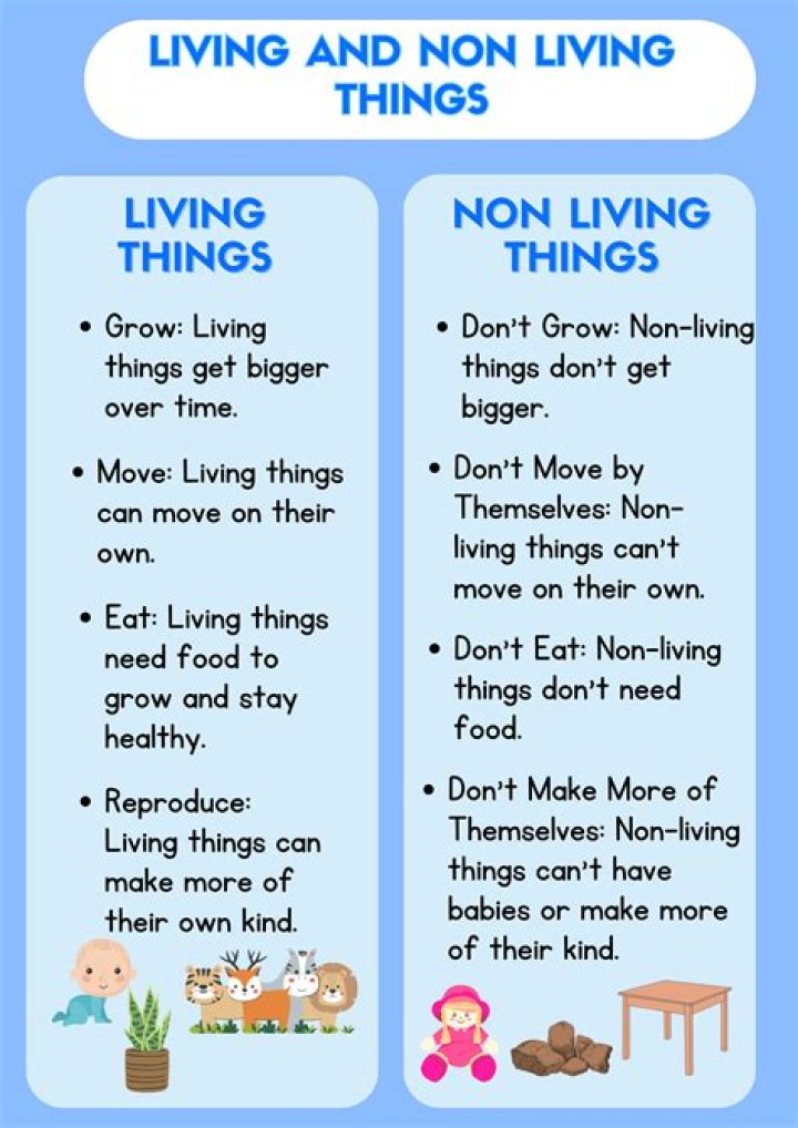 What is the meaning of non demanding?