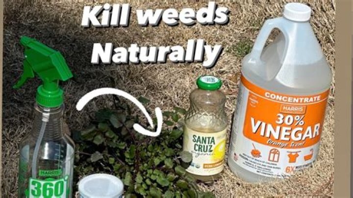 Whats a natural weed killer?