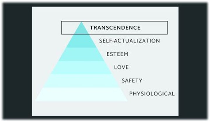 Who coined self actualization?